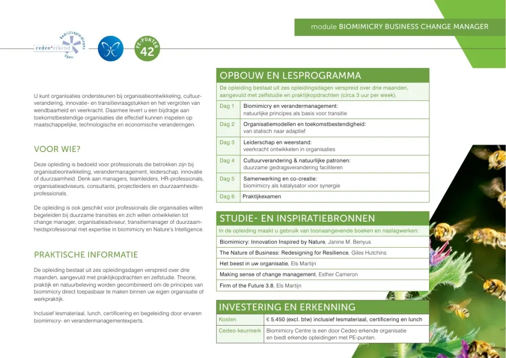 Opleidingsgids 2026/2027 - 29