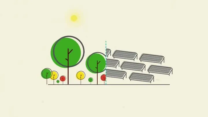 Hoe zou Nature's Intelligence dit oplossen?